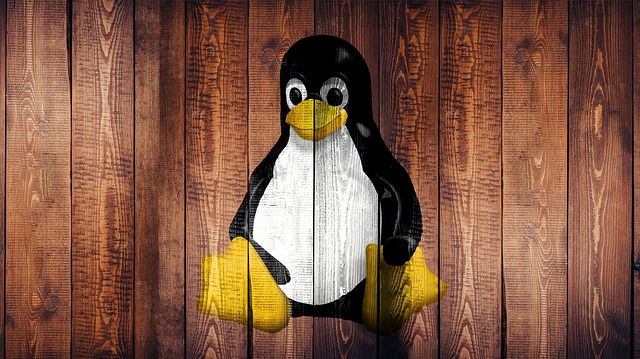 Linux Nedir?